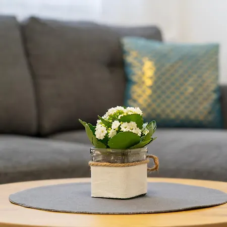 Hills Apartamento Split